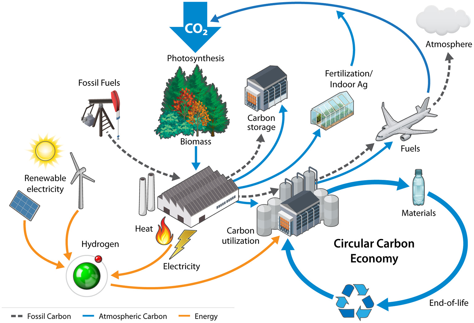 Bone Collection & Supply